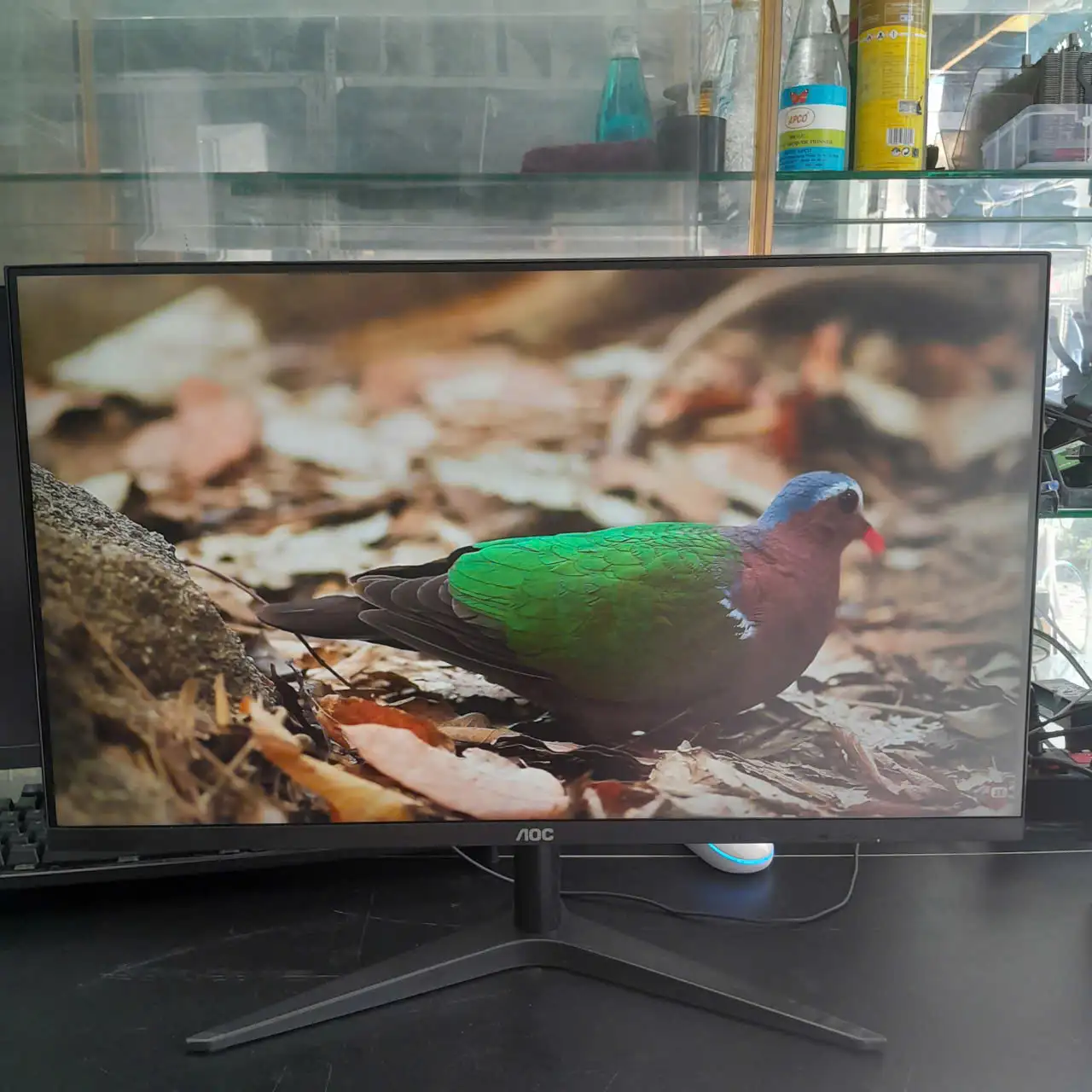 Màn hình AOC 27B1H/74 | 27 inch | IPS | Full HD | 60Hz