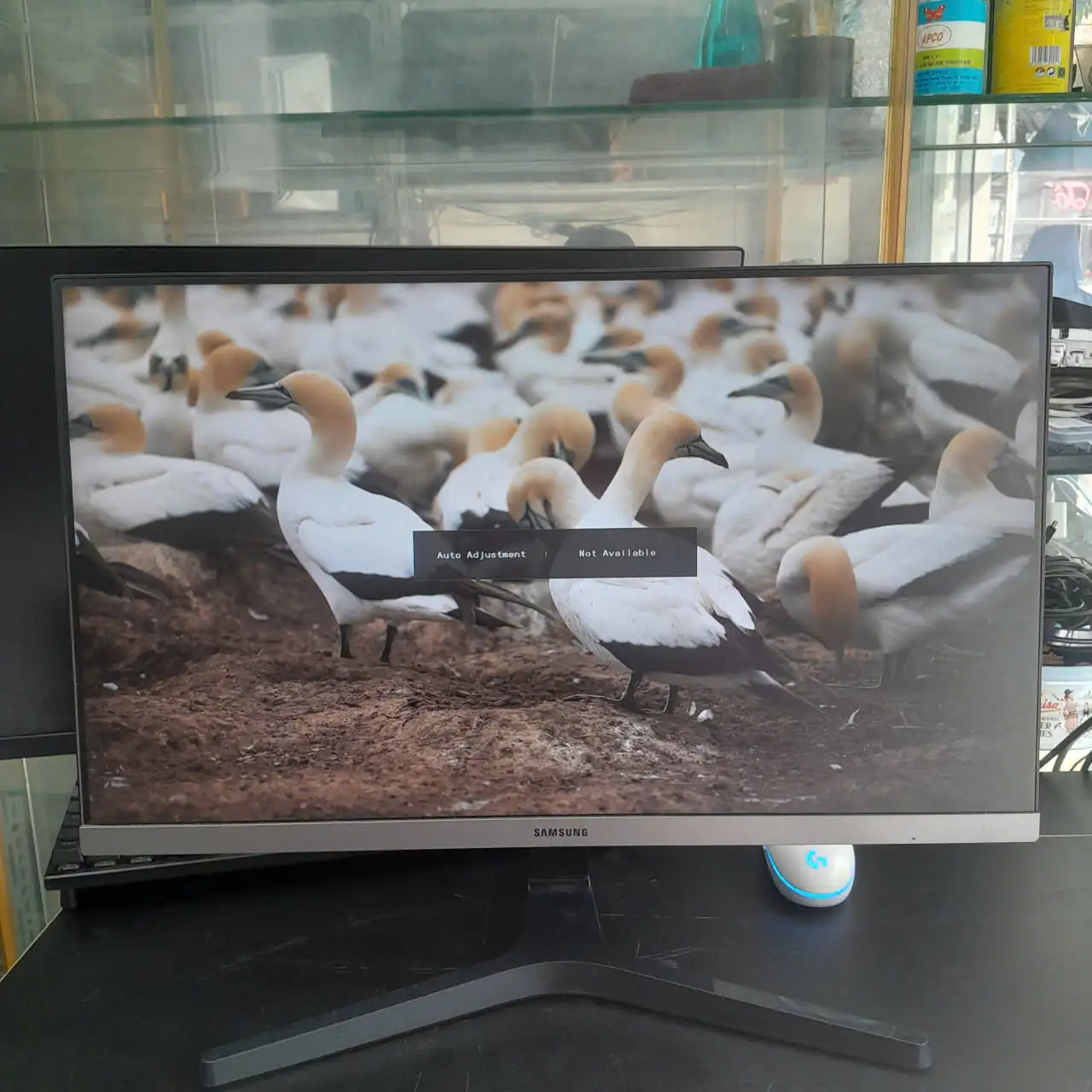 Màn hình Samsung LS24R350FHEXXV | 23.8 inch | IPS | Full HD | 75Hz