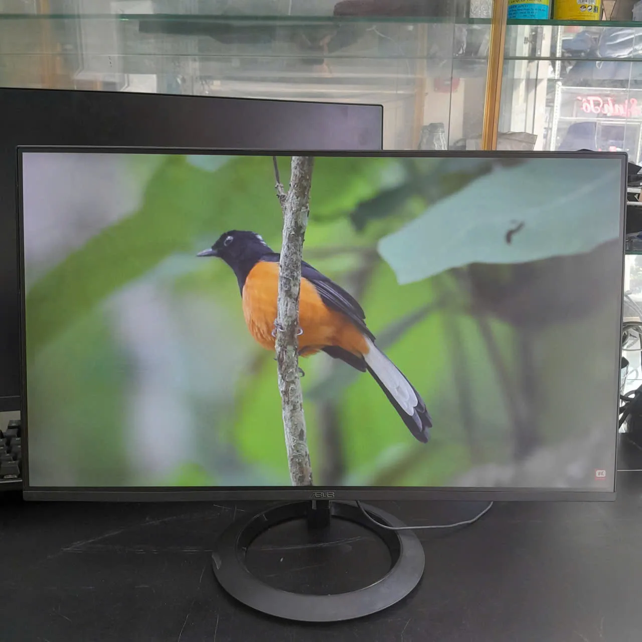 Màn hình ASUS VZ24EHE | 23.8 inch | IPS | Full HD | 75Hz